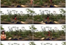 [108酱TV]VR系列 2016.11.02 田小燕小树林连的秘秘 [1V]-美图岛