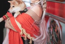 Coser面饼仙儿 – Belfast [17P-266M]-美图岛