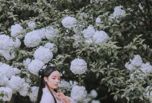 [YITUYU艺图语]2021.09.02 满袖春 Seven[35+1P／382MB]-美图岛