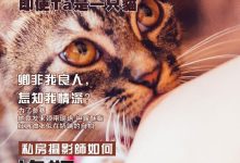 [108酱TV]日系系列 2016.09.01 妮小妖-女仆黑丝诱惑 [1V]-美图岛