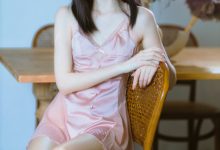 许岚 NO.009 — 半透粉纱[40P-836MB]-美图岛