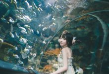 [YITUYU艺图语]2022.04.15 海洋水族馆 丸子[20+1P／413MB]-美图岛