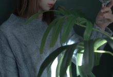 [YITUYU艺图语]2022.05.02 斗鱼 小可爱[21+1P／168MB]-美图岛