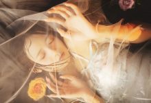 兔子Zzz不吃胡萝卜 - NO.46 梦莲 [30P-377MB]-美图岛