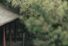 [YITUYU艺图语]2022.07.12 入江南 辛冉[32+1P／356MB]-美图岛