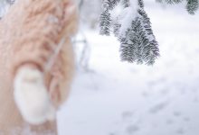 [YITUYU艺图语]2022.09.17 嘿，一起来玩雪。 耳元在减肥[25+1P／311MB]-美图岛