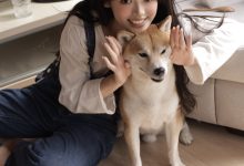 [YITUYU艺图语]2022.11.27 Hi,小狗 叛逆的捡捡唯[28+1P／201MB]-美图岛