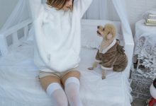 [YITUYU艺图语]2022.12.17 温馨少女与宠物们 兔子Zzz不吃胡萝卜[23+1P／371MB]-美图岛