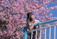 萌芽儿 -  异木棉花 [27P-436MB]-美图岛