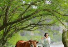 [YITUYU艺图语]2023.02.25 兰芝 锦超[21+1P／277MB]-美图岛