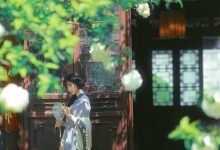 [YITUYU艺图语]2023.03.29 清欢 是你的小豆豆啊[21+1P／480MB]-美图岛