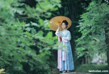 [YITUYU艺图语]2023.03.10 如梦  洛一[23+1P／293MB]-美图岛