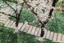 [YITUYU艺图语]2023.04.18 樱花教室 萌伊伊[32+1P／368MB]-美图岛