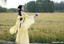 [YITUYU艺图语]2023.05.01 风吹麦浪 若若yuu[21+1P／194MB]-美图岛