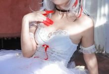 苏嫣嫣阿姨-明日方舟-W芭蕾 [30P-249MB]-美图岛